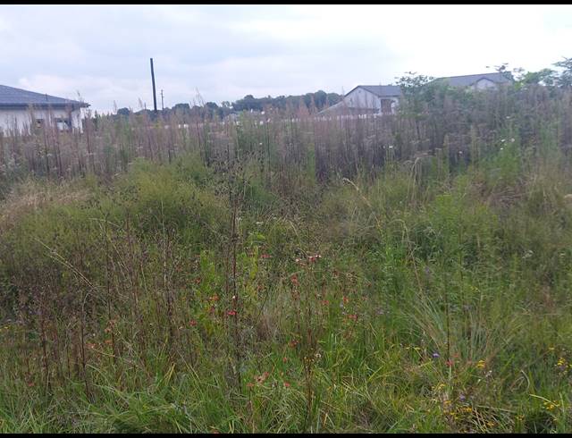 1,016M² VACANT LAND FOR SALE IN HENLEY ON KLIP